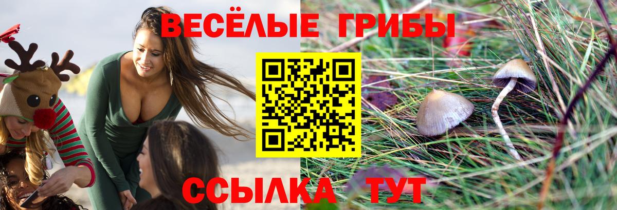 Псилоцибиновые грибы мухоморы  Галлюциногенные грибы Psilocybe  Усинск  Вход с VPN 